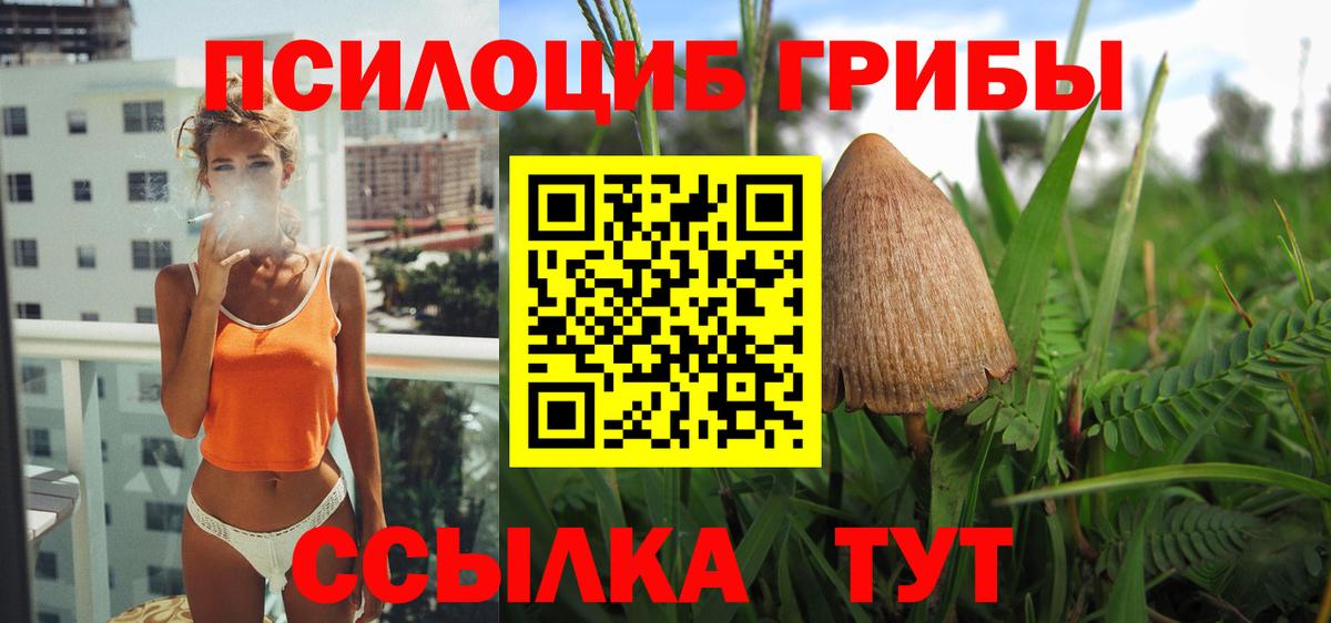 Галлюциногенные грибы MAGIC MUSHROOMS  Вход с VPN  Семилуки 